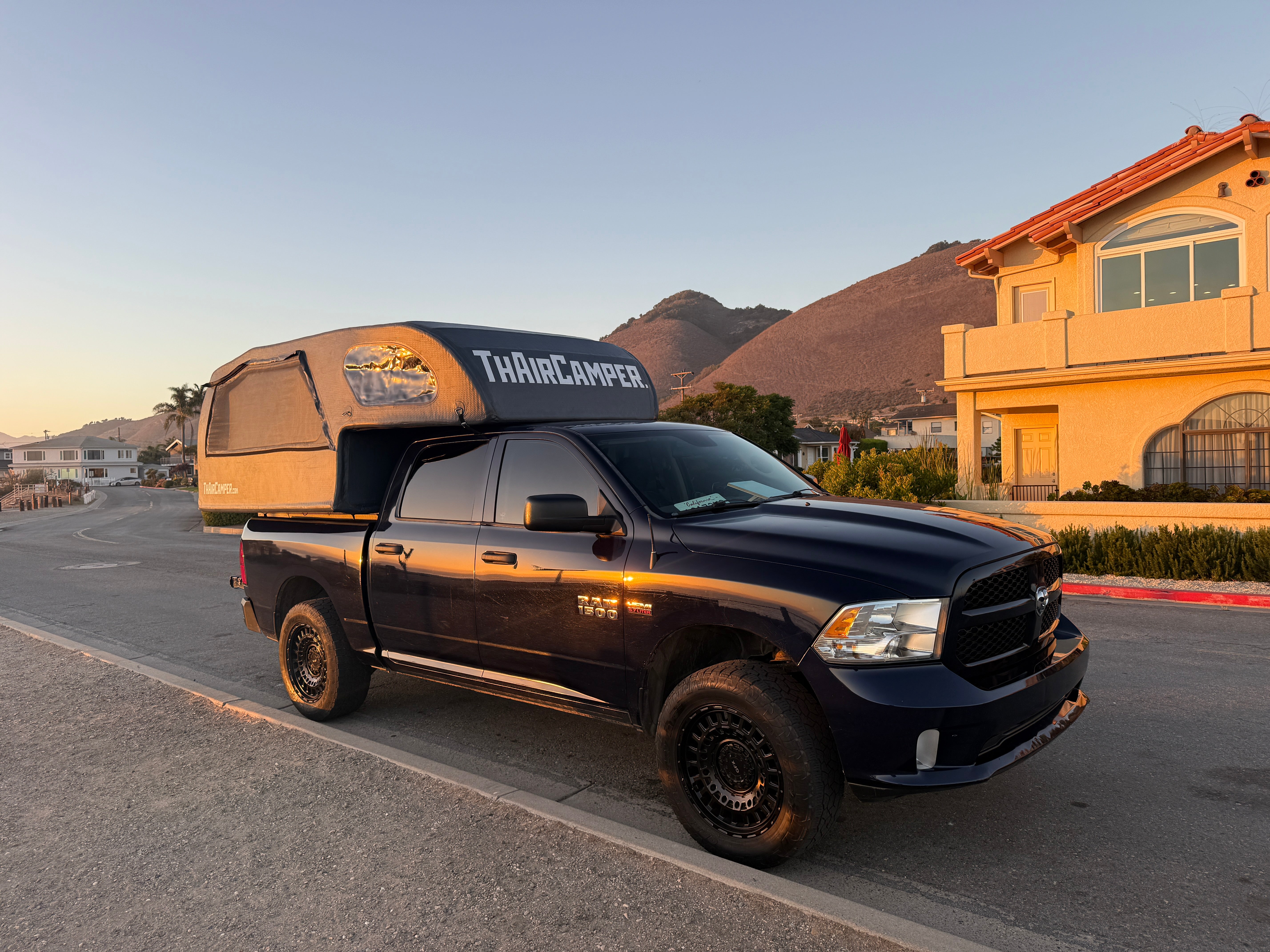 Black Friday Special